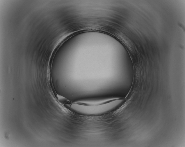 X0000097870940200804041548
