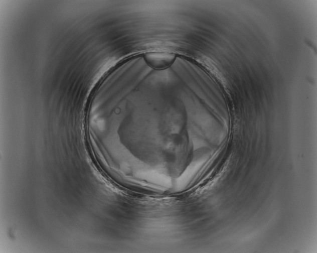 X0000097870941200804041548