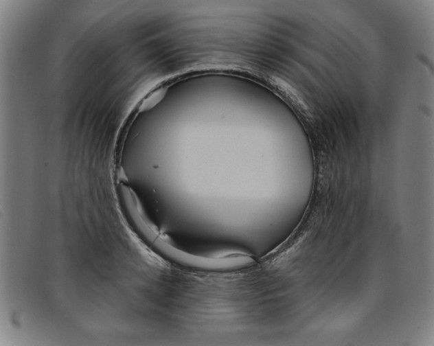 X0000097870942200804041548