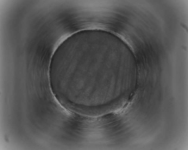 X0000097870943200804041548