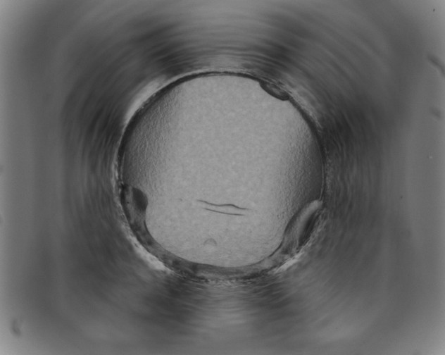 X0000097870944200804041548