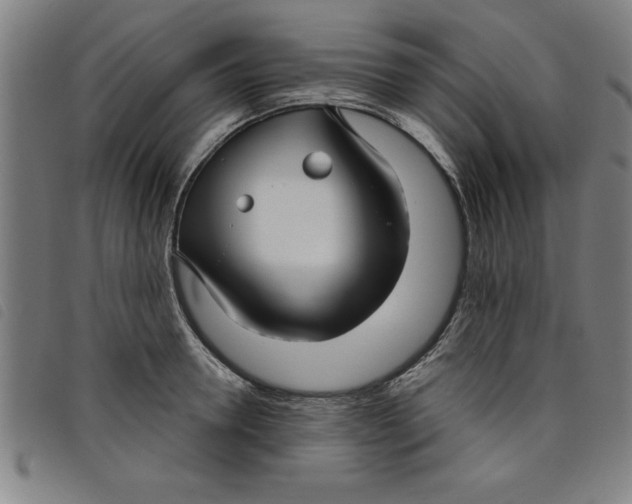 X0000097870946200804041548