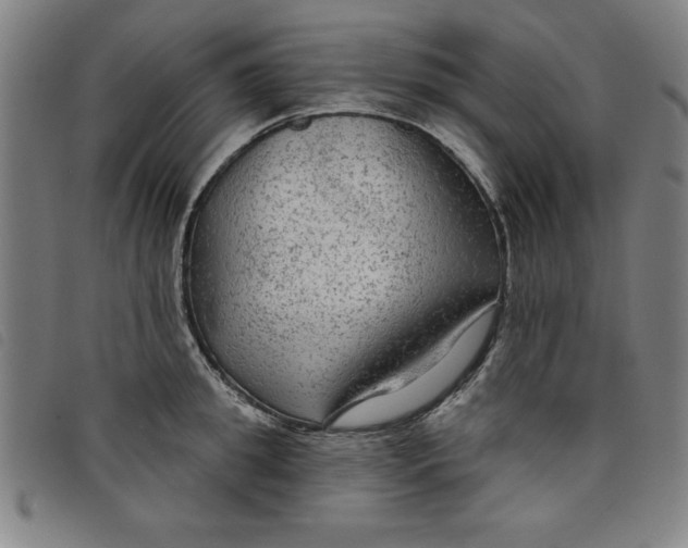 X0000097870949200804041548