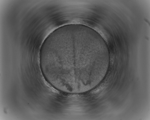 X0000097870950200804041548