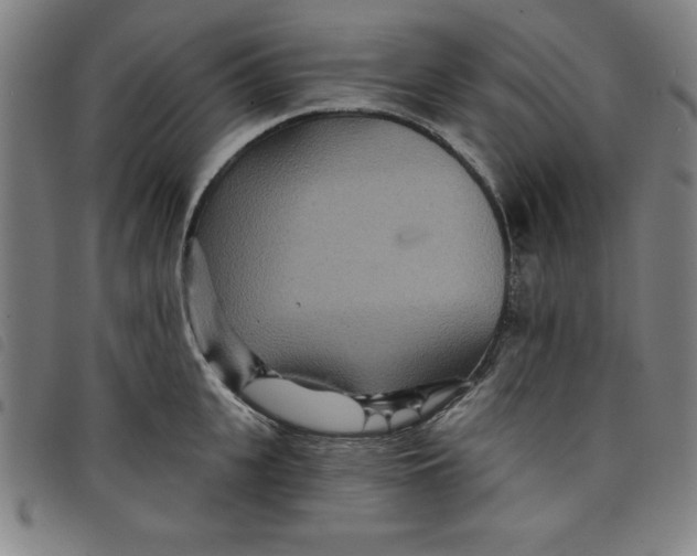 X0000097870951200804041548