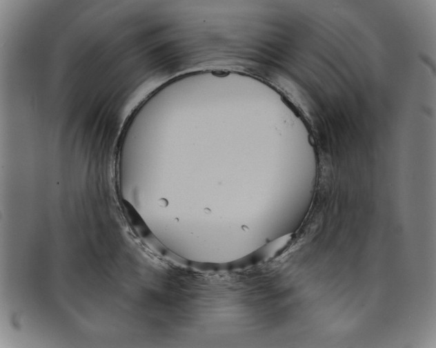 X0000097870952200804041548