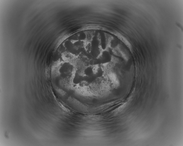 X0000097870953200804041548