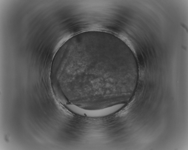 X0000097870954200804041548