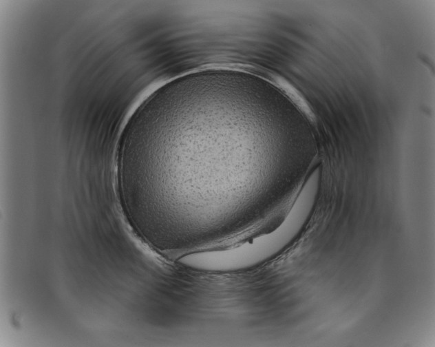 X0000097870955200804041548