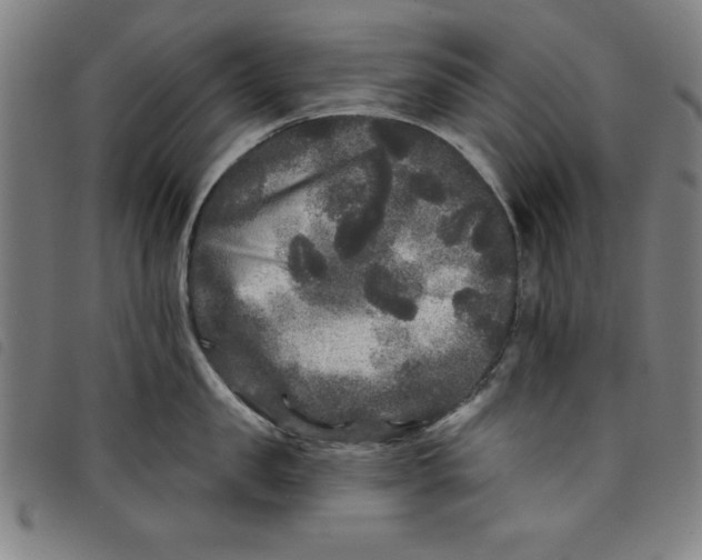 X0000097870957200804041548