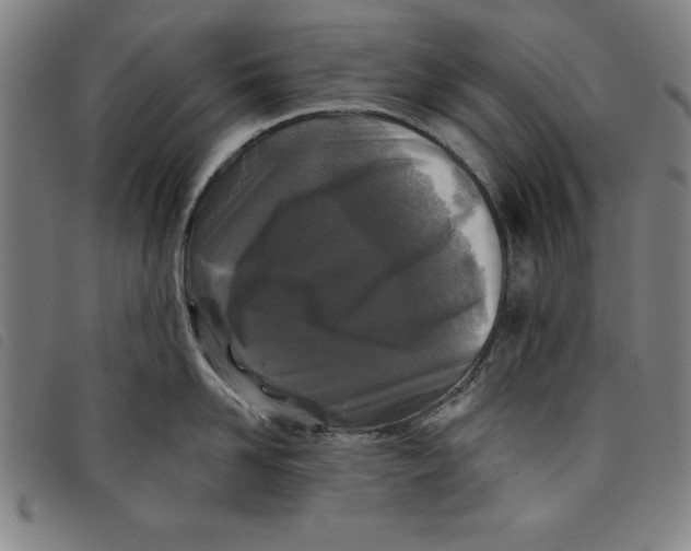 X0000097870958200804041548