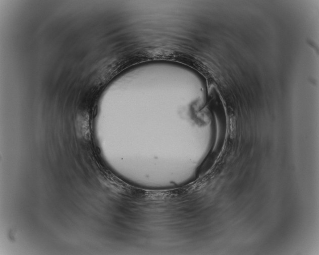 X0000097870963200804041547