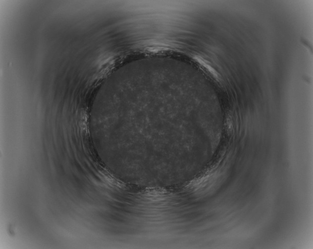 X0000097870964200804041547