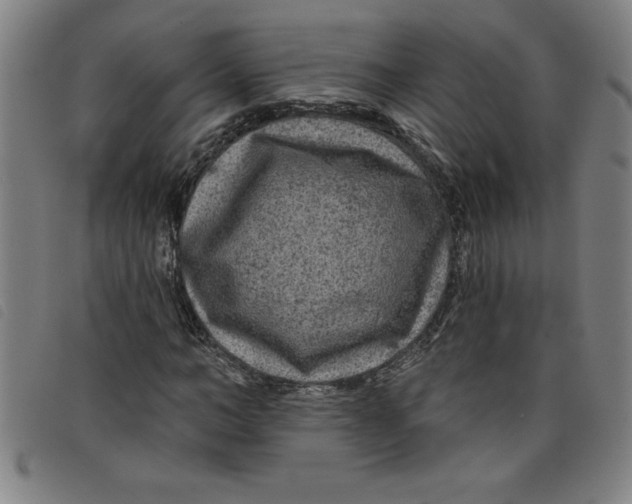 X0000097870966200804041547