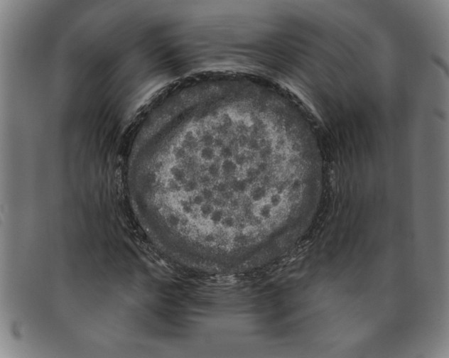 X0000097870968200804041547