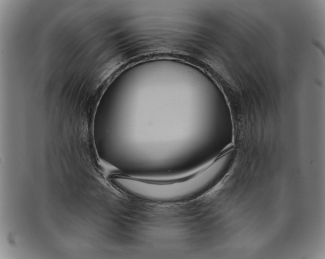 X0000097870969200804041547