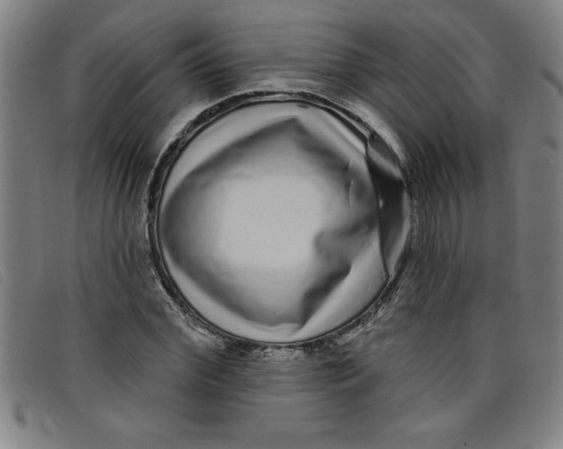 X0000097870972200804041547