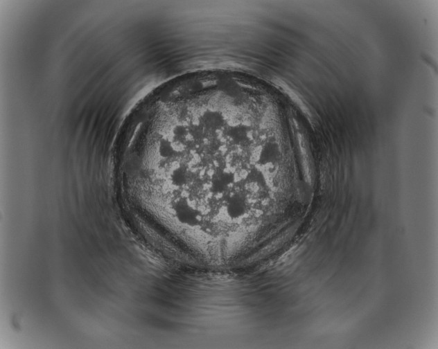 X0000097870975200804041547
