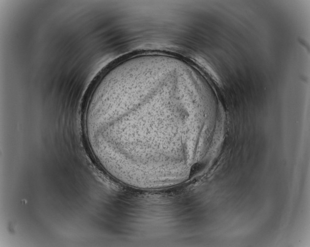 X0000097870976200804041547