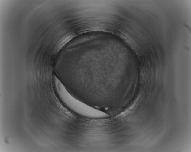 X0000097870977200804041547