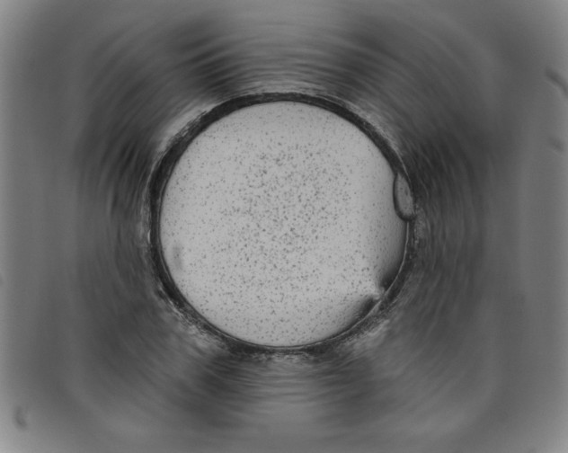 X0000097870979200804041547