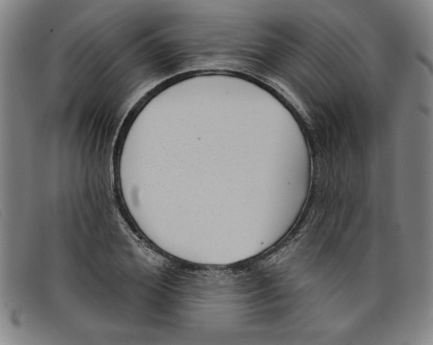 X0000097870980200804041547