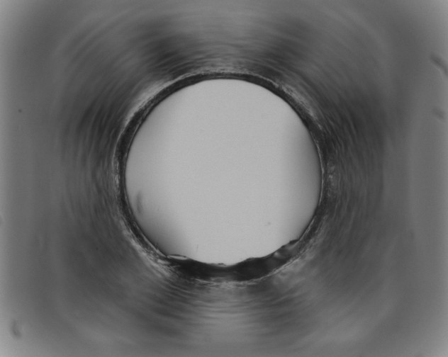 X0000097870981200804041547