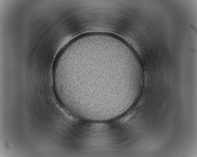 X0000097870982200804041547