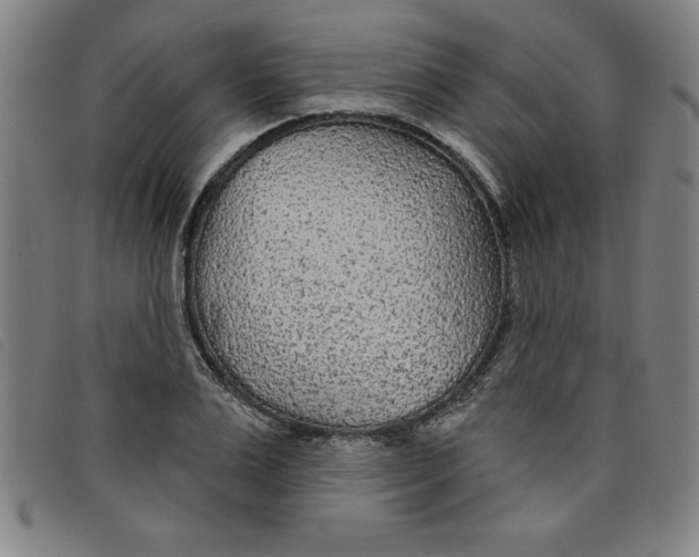 X0000097870983200804041547