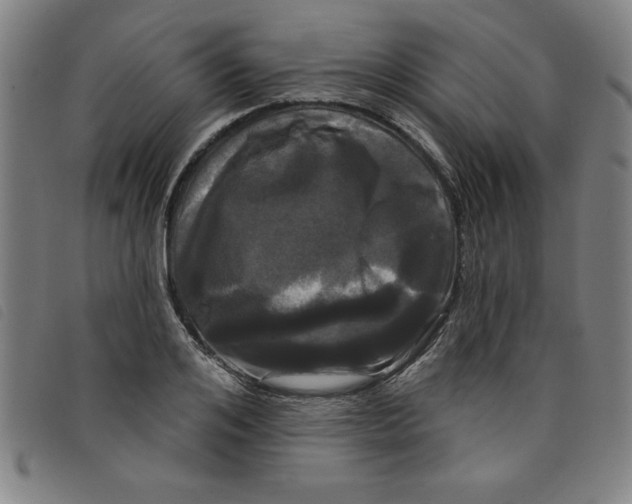 X0000097870984200804041547