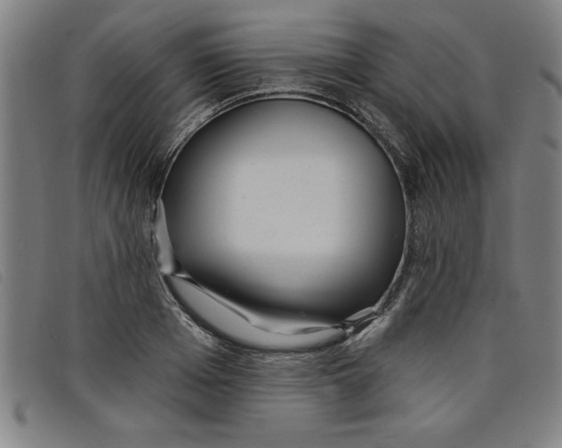 X0000097870985200804041547