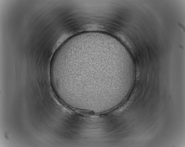 X0000097870986200804041547