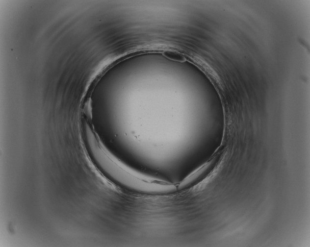 X0000097870989200804041547