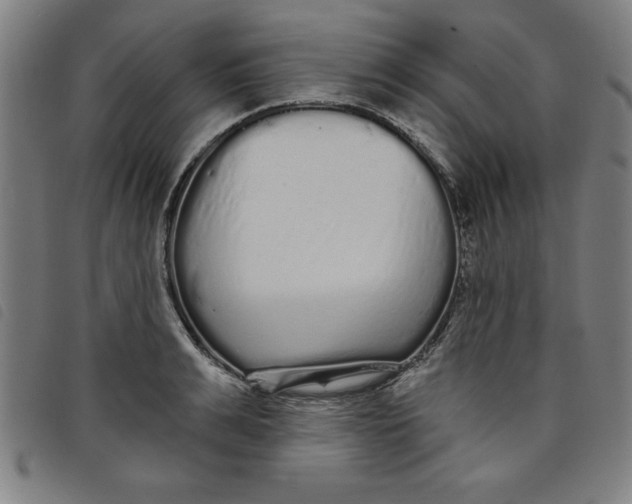 X0000097870991200804041547