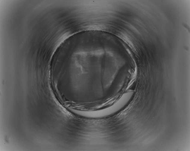 X0000097870992200804041547