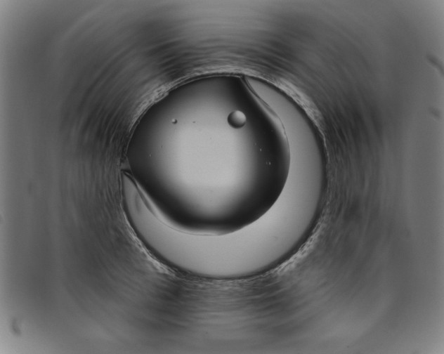 X0000097870993200804041547