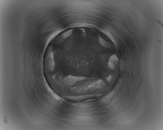 X0000097870995200804041547