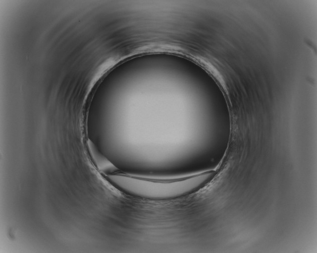 X0000097870997200804041547