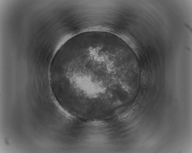 X0000097870998200804041546