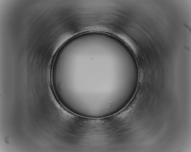 X0000097870999200804041546