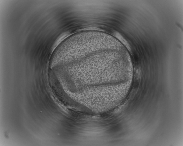 X0000097871002200804041546