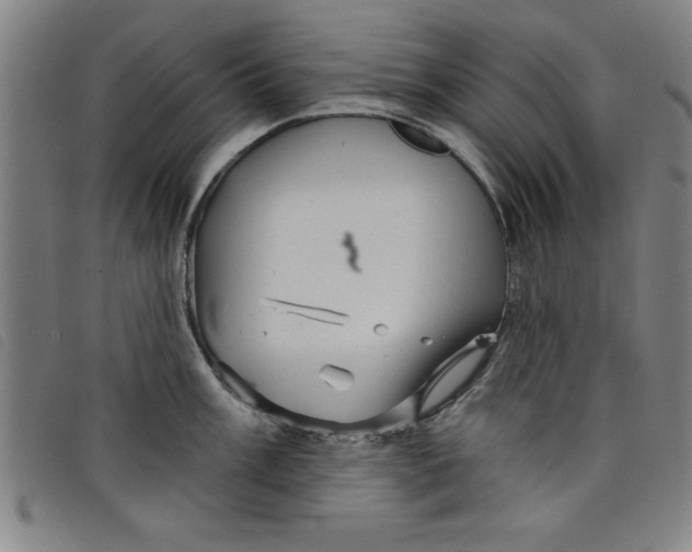 X0000097871003200804041546