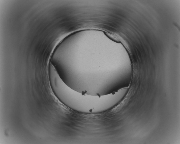 X0000097871004200804041546