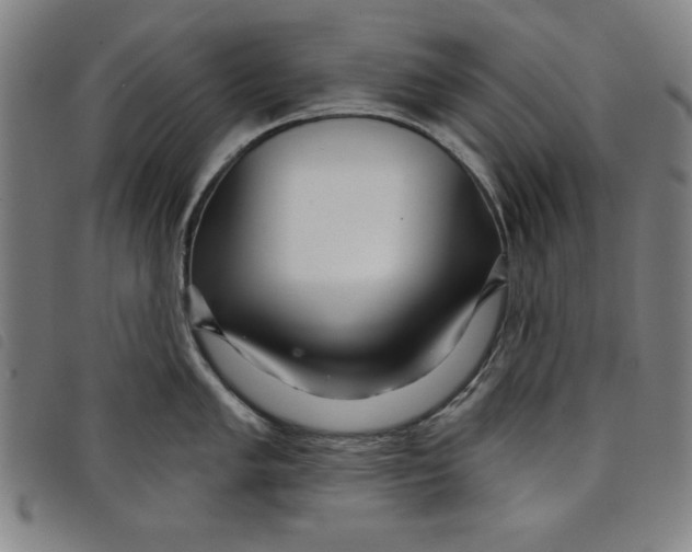 X0000097871005200804041546