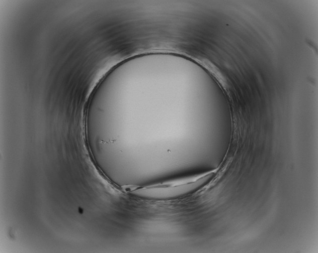 X0000097871006200804041546