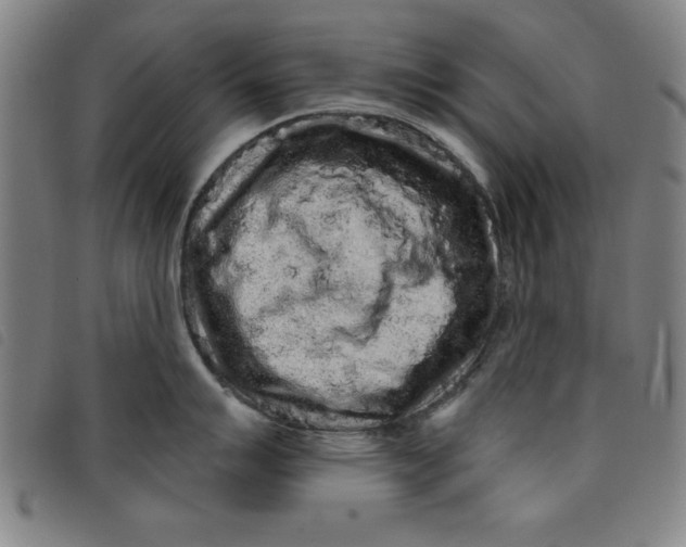 X0000097871007200804041546