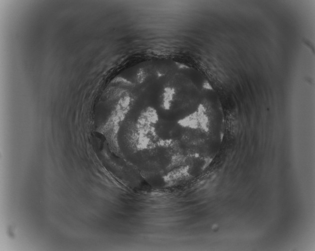 X0000097871009200804041546