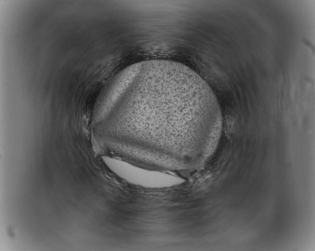 X0000097871010200804041546