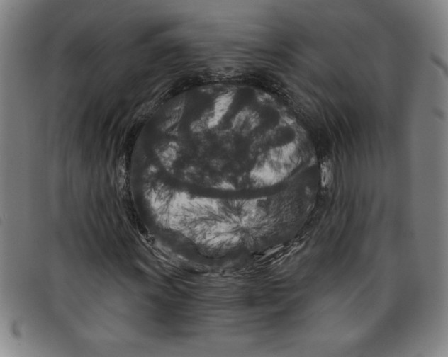 X0000097871011200804041546