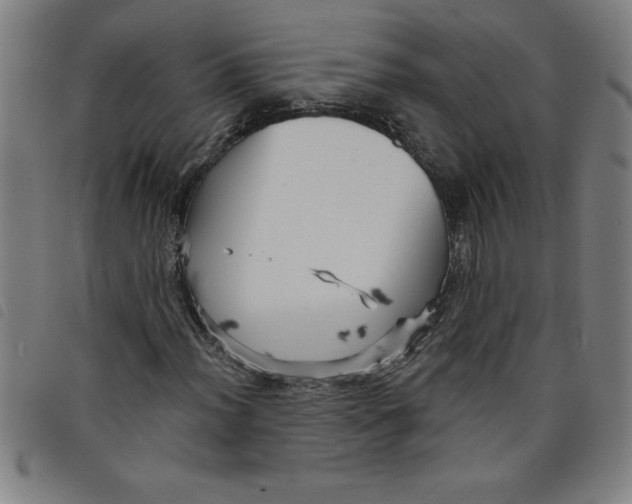 X0000097871012200804041546